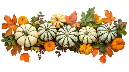 Orange pumpkins nestled among golden autumn leaves forming seasonal horizontal border on isolated transparent background