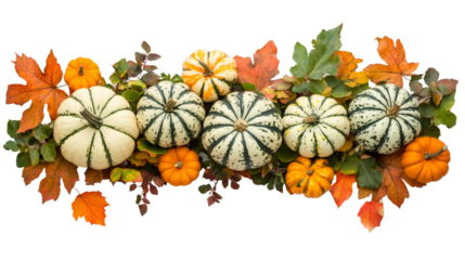 Orange pumpkins nestled among golden autumn leaves forming seasonal horizontal border on isolated transparent background