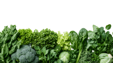 Fresh green vegetables and leafy produce bordering transparent surface, highlighting nutritional wellness and plant-based dietary choices