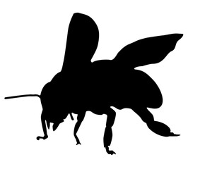 Bee silhouette