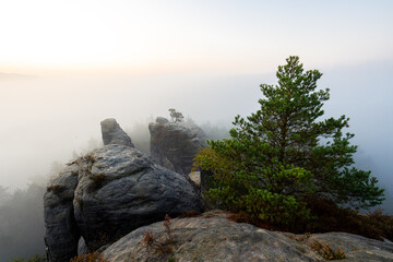 Sonnenaufgang im Nebel auf dem Gamrig in der Sächsischen Schweiz in Sachsen Deutschland