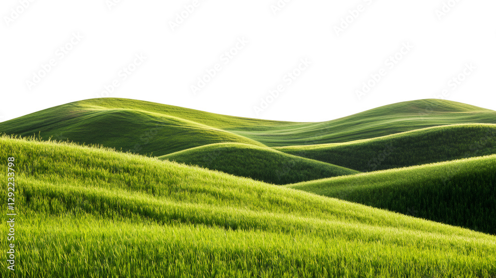 Poster rolling hills covered in verdant grass, forming smooth undulating terrain with soft green tones agai