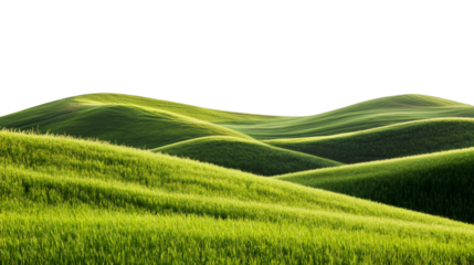 Rolling hills covered in verdant grass, forming smooth undulating terrain with soft green tones against minimalist light background