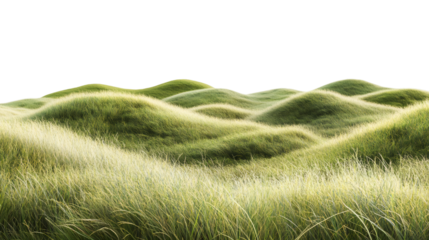 Green grass field forming soft hills, isolated on transparent background, ideal for architectural visualization or any kind of project