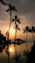 Obraz premium beautiful large tropical palm trees grow on the coast