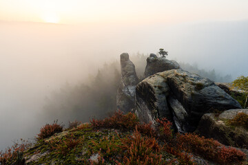 Sonnenaufgang im Nebel auf dem Gamrig in der Sächsischen Schweiz in Sachsen Deutschland