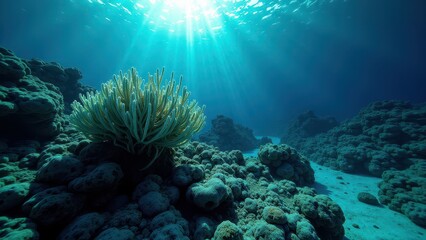 Naklejka premium Bleached coral reef underwater showing severe effects of climate change 