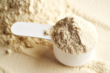 Whey protein powder in a white measuring spoon