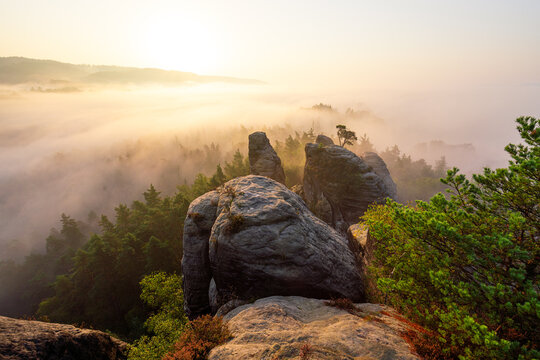 Sonnenaufgang im Nebel auf dem Gamrig in der S&auml;chsischen Schweiz in Sachsen Deutschland