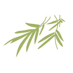 Obraz premium Green bamboo leaf