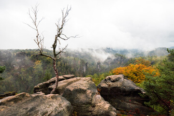 Mystische Gebirge Landschaft mit Nebel im Nationalpark Sächsische Schweiz in Sachsen Deutschland