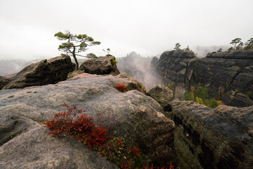 Mystische Gebirge Landschaft mit Nebel im Nationalpark Sächsische Schweiz in Sachsen Deutschland