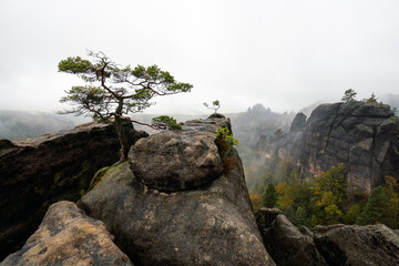 Mystische Gebirge Landschaft mit Nebel im Nationalpark Sächsische Schweiz in Sachsen Deutschland