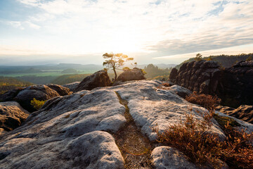 Sonnenuntergang am Lehnsteig Sandstein Berg im Nationalpark Sächsische Schweiz in Sachsen...