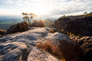 Sonnenuntergang am Lehnsteig Sandstein Berg im Nationalpark Sächsische Schweiz in Sachsen...