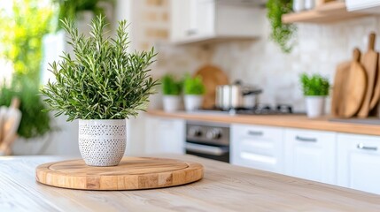 Rosemary plant on kitchen counter, modern kitchen background, home decor
