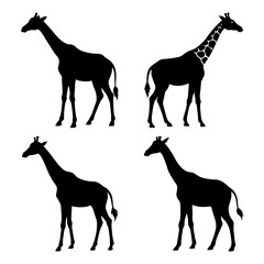  Giraffe Silhouette Bundle Stunning Designs for Wildlife and Nature Themes