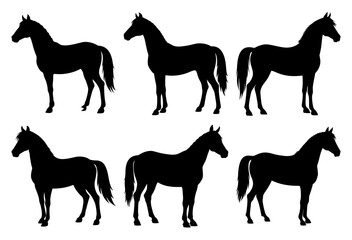 Horse Silhouette Bundle Majestic Designs for Wildlife, Nature, and Creative Art
