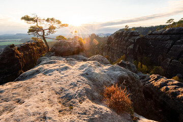 Sonnenuntergang am Lehnsteig Sandstein Berg im Nationalpark Sächsische Schweiz in Sachsen...
