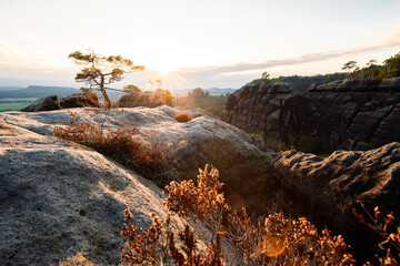 Sonnenuntergang am Lehnsteig Sandstein Berg im Nationalpark Sächsische Schweiz in Sachsen...
