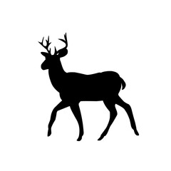 Obraz premium Deer Vector Illustration Set