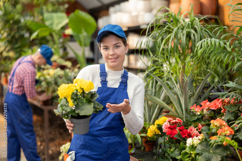 Wall mural Young female saleswoman in uniform holding pot of begonia in flower shop..