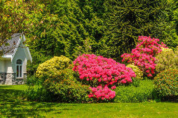 Two story luxury house with beautiful summer  landscape in Vancouver, Canada, North America. Day time on June 2024.