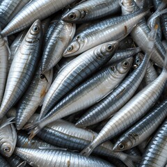 Fototapeta premium fish on the market