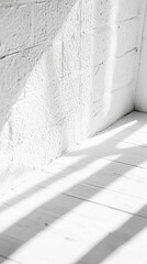Soft shadows cast on a white wall and floor, creating a serene atmosphere in a bright room