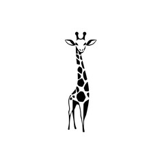 Minimalist drawing of a giraffe in a black and white style, standing on a white background. © MatandSterre