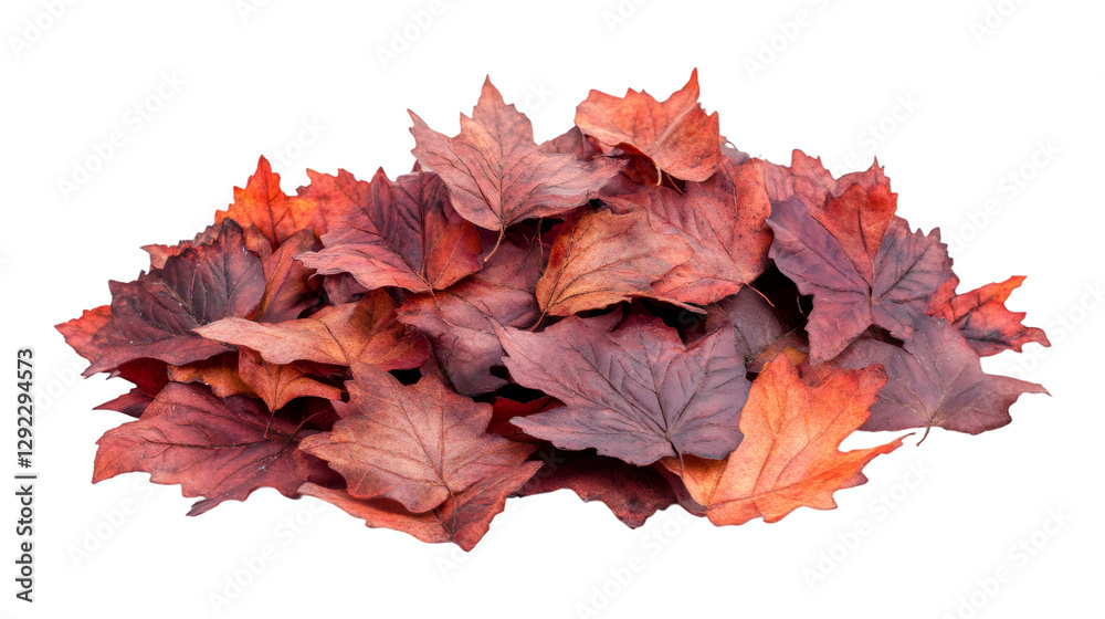 Aufkleber vibrant autumn leaves clustered together, forming seasonal backdrop with transparent overlay for des