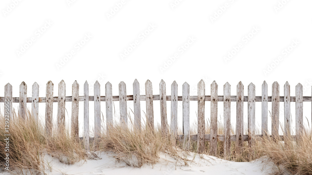 Poster weathered wooden fence emerging from sand dunes with transparent background, perfect for easy integr