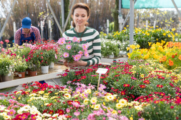 Woman customer-onlooker curiously examines showcase exhibition with outdoor plants multicolored...