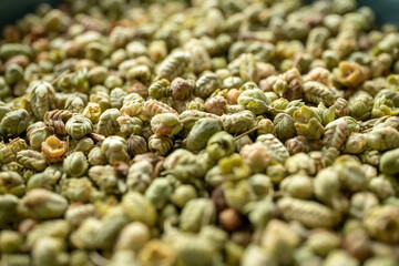 close up of fresh green thyme