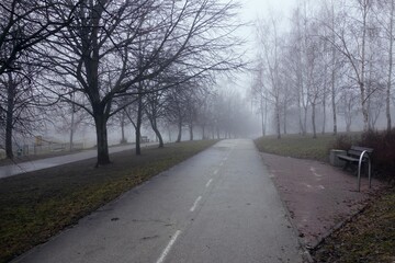 Fototapeta premium Park in the morning on a foggy February day, view of the bicycle path among the trees.