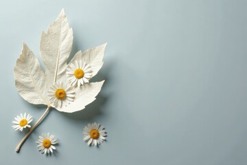Isolated white leaf, daisies scattered on gray , visual, graphic, daisies