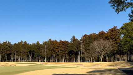 日本周遊　早春の光あふれる石岡あたり