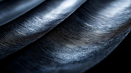 Close up of Metal Screw Threads