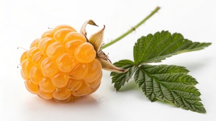 Single Yellow Cloudberry with Leaf on White Background