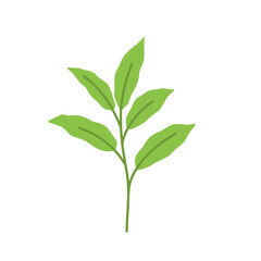 Fototapeta premium Simple Green Leaf Illustration