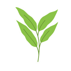 Simple Green Leaf Illustration
