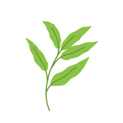 Simple Green Leaf Illustration