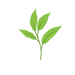 Simple Green Leaf Illustration