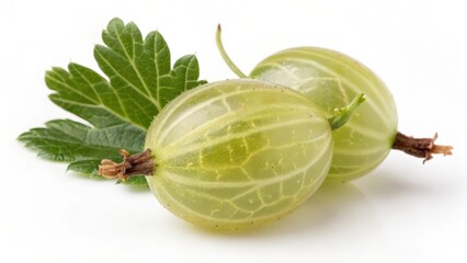 Naklejka premium Two Gooseberries with Leaf