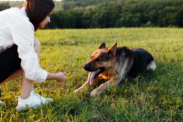Young woman crouching on grassy field is training her german shepherd dog using positive reinforcement, offering treat in her hand, with forest in background