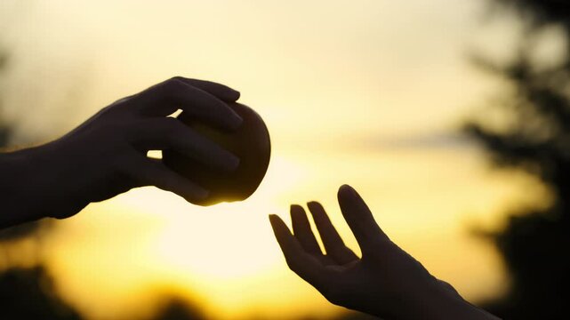 Two silhouetted hands of men and a women against a warm, golden sunset. One hand is passing an apple to the other, creating a scene that symbolizes giving, sharing, or generosity. The background