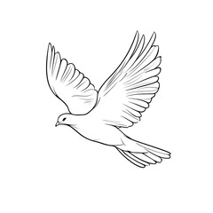 Fototapeta premium A white bird with a black beak flies in the sky