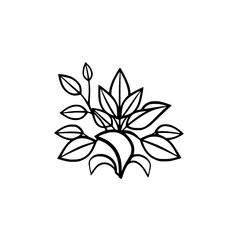 Minimalist botanical drawing of a plant with stylized leaves, black and white, for a clean aesthetic.