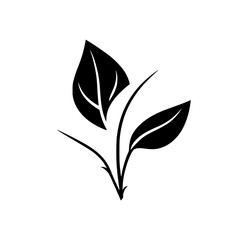 Black & White Leaf Design: A minimalistic illustration of a plant with leaves set against a white background.