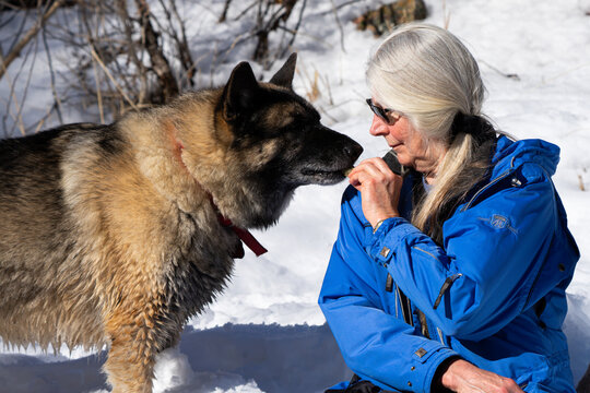 senior woman with silver hair feeding her dog treats during a hike in a snow covered winter wonderland mountain